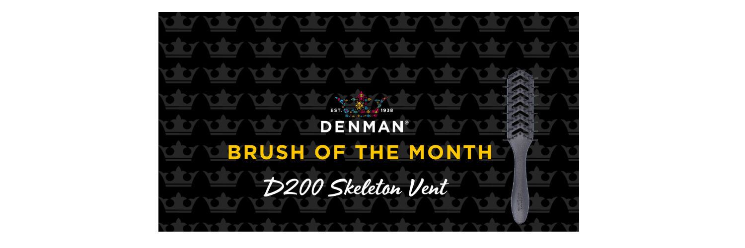 D200 | Skeleton Vent | Fast Blow-Dry | Volume | Denman Brush –